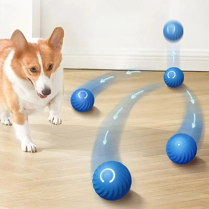 Interractive Motion Activated Rolling Ball Dog Toy